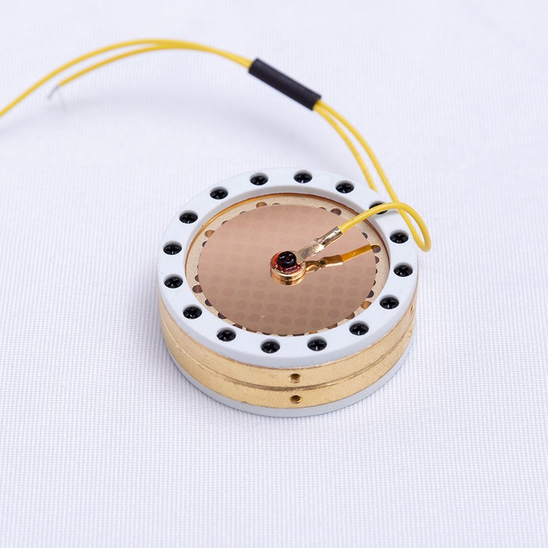 RK-87 ラージダイアフラムマイクカプセル 金メッキダイア - Microphone Capsule のレビューと価格